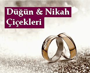 �i�ek