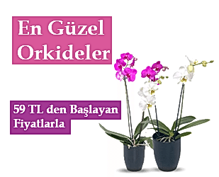 �i�ek