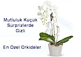 �i�ek
