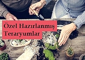 �zel Tasar�m �i�ekler