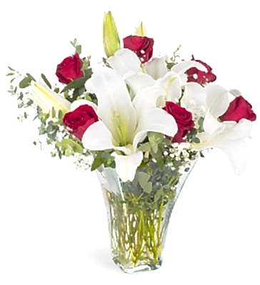 Sevgi P�t�rc���